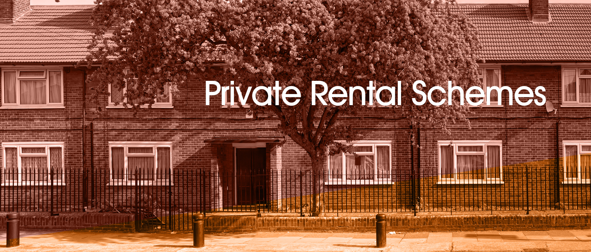 Private Rental Schemes Bloom